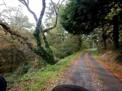 DSCN1242 DSCN1242