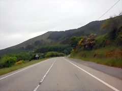DSCN6548 DSCN6548