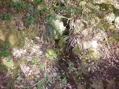 DSCN2094 DSCN2094
