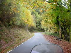 DSCN5943 DSCN5943