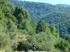 IMG_8074 IMG_8074