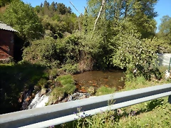DSCN8955 DSCN8955