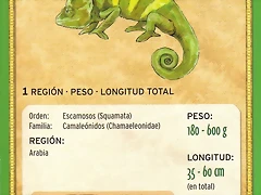 camaleon velado