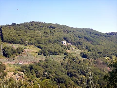 DSCN4174 DSCN4174