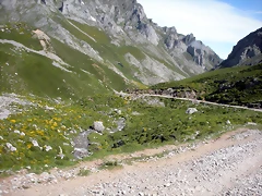 DSCN8186 DSCN8186