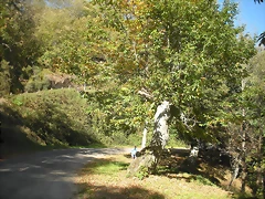 DSCN0071