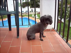 moly balcon moly balcon
