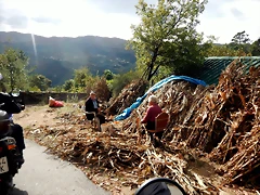 DSCN1931 DSCN1931