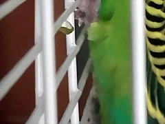 20180527_091037 20180527_091037