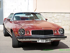 Camaro 76 cacike V-1028-U 7 Camaro 76 cacike V-1028-U 7