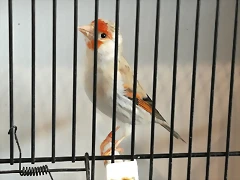 IMG_20170122_131224 IMG_20170122_131224