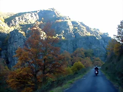 DSCN6973
