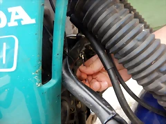 DSCN6529 DSCN6529