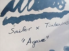 agave