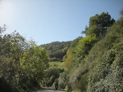 DSCN0080