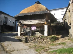 IMG_0820 IMG_0820