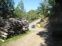 IMG_0530 IMG_0530