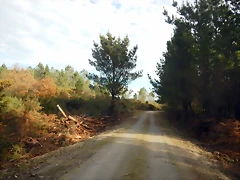 DSCN9394 DSCN9394