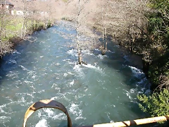 DSCN8023 DSCN8023