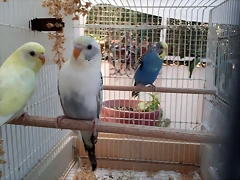 20191230_140939