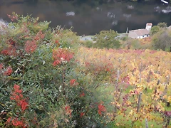 DSCN9848 DSCN9848