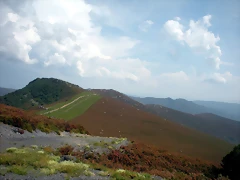 DSCN5957 DSCN5957