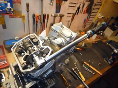 DSCN2364 DSCN2364
