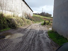 DSCN7341 DSCN7341