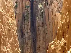 Caminito del Rey