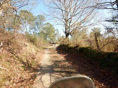 DSCN2895 DSCN2895