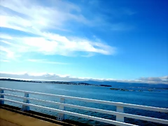 DSCN0288 DSCN0288