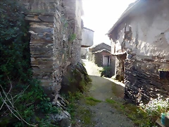 DSCN0921 DSCN0921