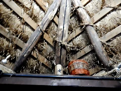 DSCN8428 DSCN8428