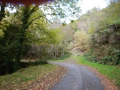DSCN8748 DSCN8748