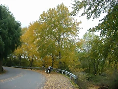 DSCN5835 DSCN5835