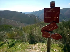 DSCN9536 DSCN9536