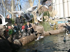 Zoo Barcelona 31-12-07 298 Zoo Barcelona 31-12-07 298