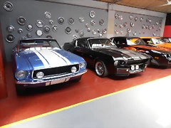 P7250579 P7250579