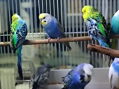 20181117_190821 20181117_190821