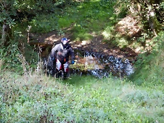 DSCN6884 DSCN6884