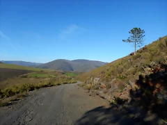 DSCN9063