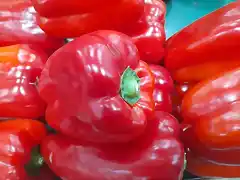 Pimiento morron rojo