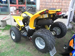 SAM_0239 SAM_0239