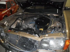 SAM_0323 SAM_0323