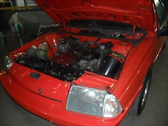 SAM_0280 SAM_0280