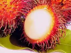 rambutan