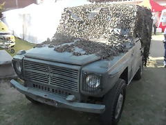 SDC14343 SDC14343