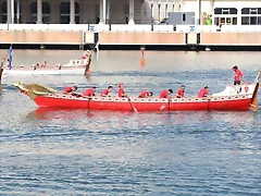 56102_bianu11 56102_bianu11