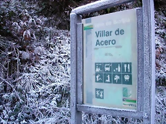DSCN6993