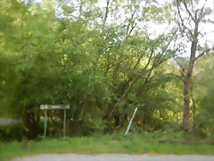 DSCN2132 DSCN2132